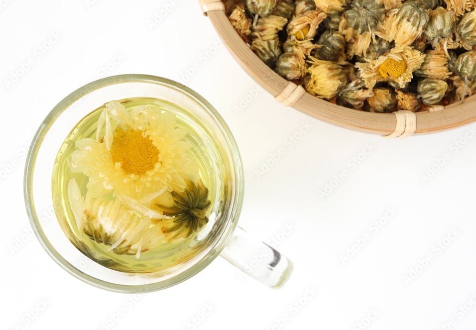 Cách làm trà thuốc bắc cúc hoa giải nhiệt